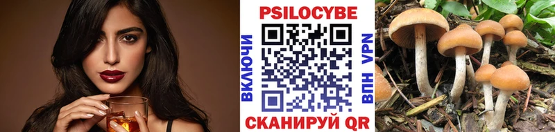 где найти наркотики  Венёв  Псилоцибиновые грибы Psilocybine cubensis 
