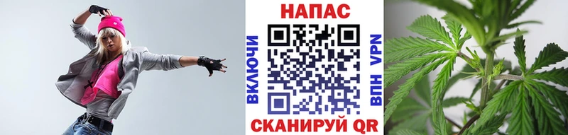 Бошки марихуана MAZAR  Венёв 